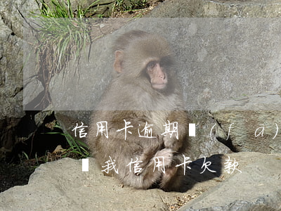 信用卡逾期發(fā)信息說上老賴(有電話說我信用卡欠款)