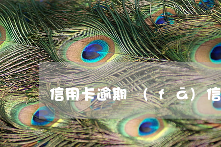信用卡逾期發(fā)信息說上門催收
