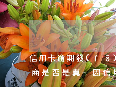信用卡逾期發(fā)信息說協(xié)商是否是真-因信用卡逾期經(jīng)常收到電話協(xié)商