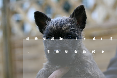信用卡逾期發(fā)信息說法院上門處理-說信用卡逾期找上門了