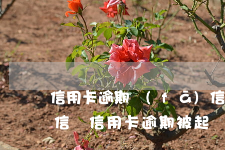 信用卡逾期發(fā)信息說要公訴(收到短信說信用卡逾期被起訴)