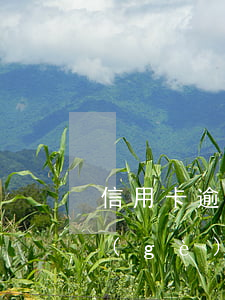 信用卡逾期發(fā)信息說開庭(今天有個(gè)律師給我發(fā)信息說信用卡逾期開庭)