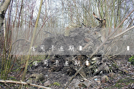 信用卡逾期發(fā)個(gè)法院信息(信用卡逾期發(fā)信息起訴)