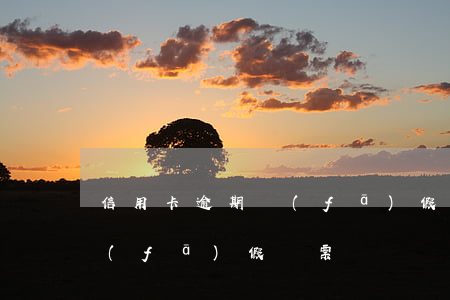 信用卡逾期發(fā)假傳票 信用卡逾期發(fā)假傳票