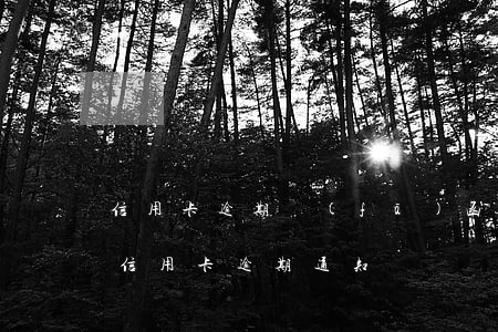 信用卡逾期發(fā)函是通過什么方式-信用卡 逾期 通知