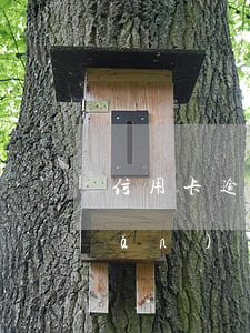 信用卡逾期發(fā)工資可以轉(zhuǎn)別人嗎 工資可以轉(zhuǎn)賬到信用卡嗎