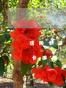 信用卡逾期發(fā)工資扣錢(工行的信用卡逾期會(huì)扣工行的工資卡么)