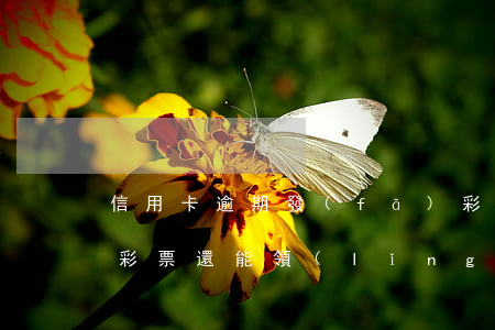 信用卡逾期發(fā)彩信嗎(我信用卡逾期彩票還能領(lǐng)獎(jiǎng)嗎)