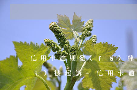 信用卡逾期發(fā)律師函多久會(huì)被起訴-信用卡逾期發(fā)律師函多久會(huì)被起訴呢