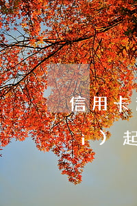 信用卡逾期發(fā)律師函多久會(huì)起訴-欠信用卡收到律師函多久會(huì)起訴