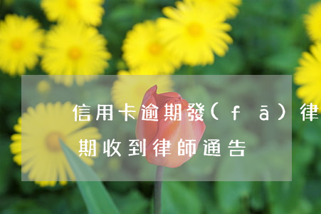 信用卡逾期發(fā)律師所立案(信用卡 逾期 收到 律師 通告)