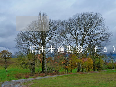 信用卡逾期發(fā)律師涵-信用卡逾期