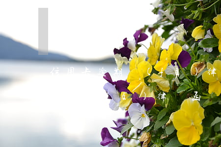 信用卡逾期發(fā)律師涵咋辦(信用卡逾期發(fā)律師函)