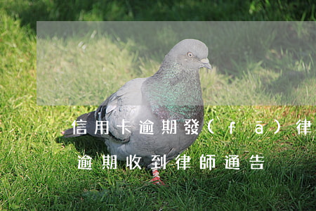 信用卡逾期發(fā)律師涵怎么辦(信用卡 逾期 收到 律師 通告)