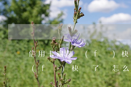 信用卡逾期發(fā)快遞了(信用卡逾期發(fā)快遞了會怎么樣)
