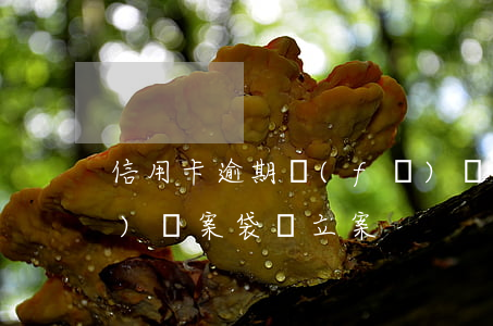 信用卡逾期發(fā)檔案袋(逾期發(fā)檔案袋說立案)