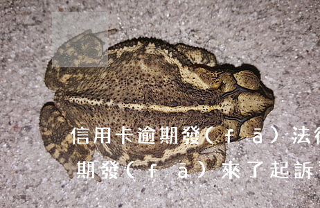 信用卡逾期發(fā)法律告知函(信用卡逾期發(fā)來了起訴警告函)