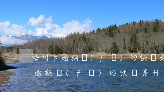 信用卡逾期發(fā)的快遞是什么(信用卡逾期發(fā)的快遞是什么)