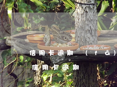 信用卡逾期發(fā)的逮捕證 被拘留期間信用卡逾期