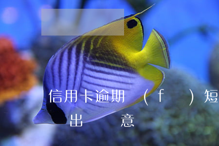 信用卡逾期發(fā)短信（信用卡逾期短信說出違約意見書）