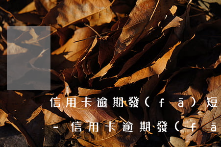 信用卡逾期發(fā)短信被移交風控部門-信用卡逾期發(fā)短信被移交風控部門怎么辦