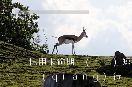 信用卡逾期發(fā)短信說(shuō)強(qiáng)行劃扣(短信發(fā)來(lái)說(shuō)信用卡逾期)