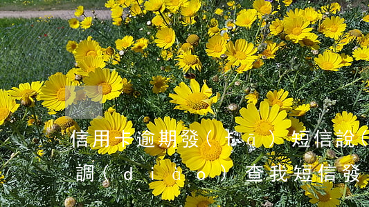 信用卡逾期發(fā)短信說(shuō)調(diào)查我(短信發(fā)來(lái)說(shuō)信用卡逾期)