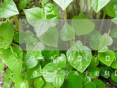 信用卡逾期發(fā)短信說(shuō)送傳票(信用卡逾期發(fā)短信說(shuō)送傳票)