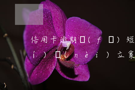 信用卡逾期發(fā)短信說八小時(shí)內(nèi)立案-信用卡逾期發(fā)短信說八小時(shí)內(nèi)立案是真的嗎