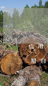 信用卡逾期發(fā)短信說劃扣(信用卡逾期自動劃扣嗎)