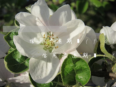 信用卡逾期發(fā)短信說提醒我去開庭-信用卡逾期發(fā)短信說提醒我去開庭是真的嗎