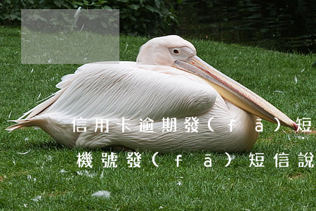 信用卡逾期發(fā)短信說法院立案了(手機號發(fā)短信說信用卡逾期被起訴)