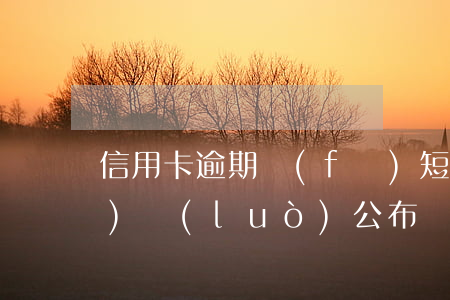 信用卡逾期發(fā)短信說網(wǎng)絡(luò)公布(詐騙短信說信用卡逾期)