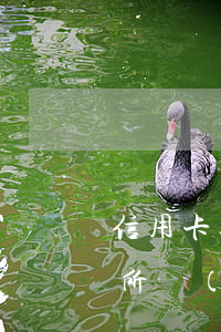 信用卡逾期發(fā)短信說被法律訴訟(律所發(fā)短信信用卡逾期)