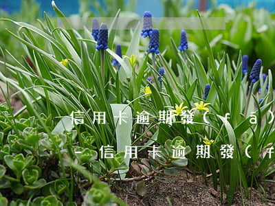 信用卡逾期發(fā)短信說要上門要起訴-信用卡逾期發(fā)短信說要上門要起訴是真的嗎