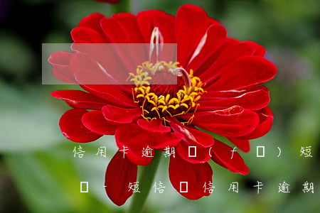 信用卡逾期發(fā)短信說要起訴是真的嗎?-短信說信用卡逾期要起訴了是真的嗎