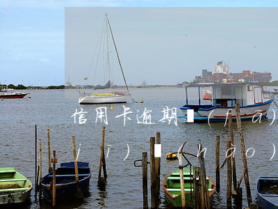 信用卡逾期發(fā)短信說起訴狀(手機(jī)號(hào)發(fā)短信說信用卡逾期被起訴)