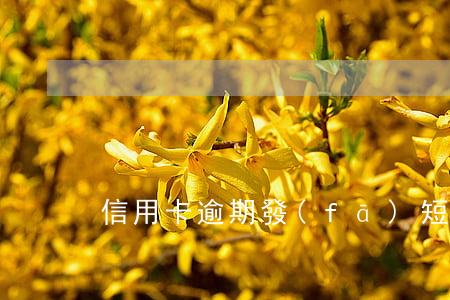 信用卡逾期發(fā)短信警告(信用卡逾期)