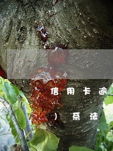 信用卡逾期發(fā)短信讓聯(lián)系法務(wù)部門-信用卡逾期發(fā)短信讓聯(lián)系法務(wù)部門是真的嗎