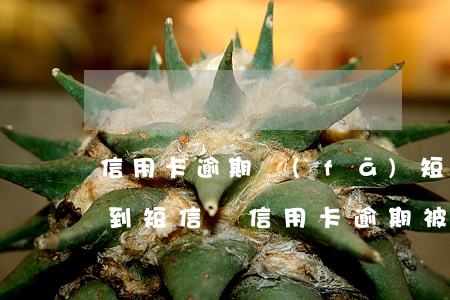信用卡逾期發(fā)短信起訴是真的嗎 收到短信說信用卡逾期被起訴