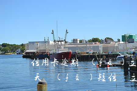 信用卡逾期發(fā)立案短信(欠信用卡今天發(fā)短信說立案了)