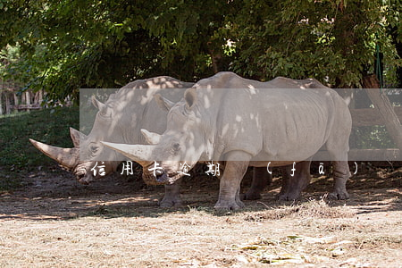 信用卡逾期發(fā)給別人