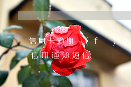 信用卡逾期發(fā)送信函(收到銀行逾期信用通知短信)