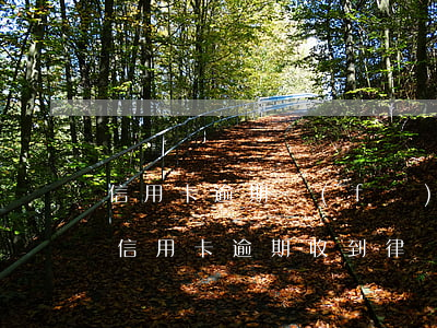 信用卡逾期發(fā)送通知函qq郵箱(因信用卡逾期收到律師函)