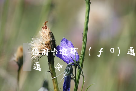 信用卡逾期發(fā)通緝令 欠信用卡會被通緝令嗎