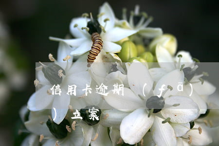 信用卡逾期發(fā)郵件申請(qǐng)立案