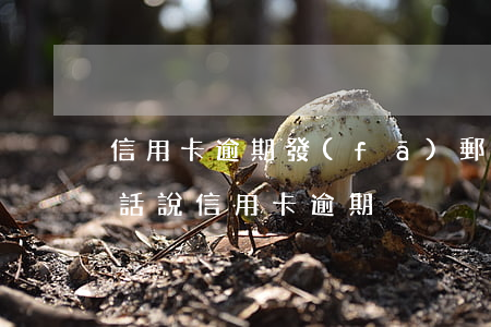 信用卡逾期發(fā)郵件說要出庭(收到電話說信用卡逾期)