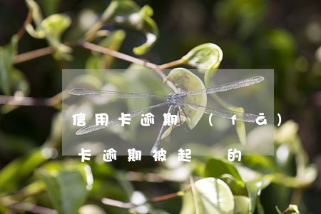 信用卡逾期發(fā)郵件說要起訴(有信用卡逾期被起訴的嗎)