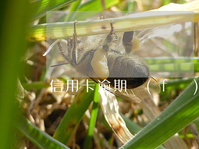 信用卡逾期發(fā)電子賬單 信用卡 逾期記錄