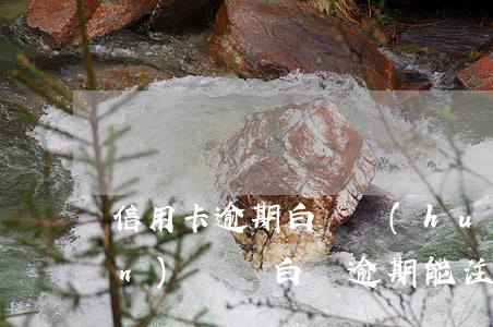 信用卡逾期白條會(huì)被關(guān)閉嗎(白條逾期能注銷嗎)